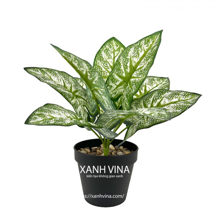 Cây giả để bàn cao 35cm _ khoai trắng